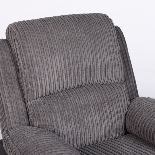 Rise Recliner with OKIN Dual Motor