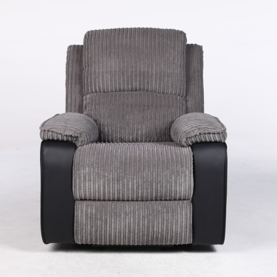 Rise Recliner with OKIN Dual Motor