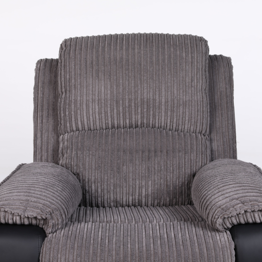 Rise Recliner with OKIN Dual Motor