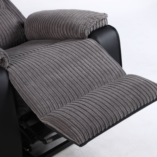 Rise Recliner with OKIN Dual Motor