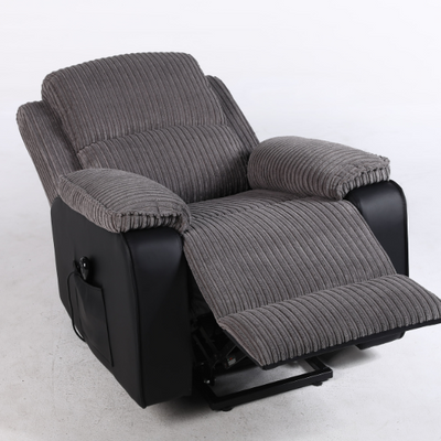 Rise Recliner with OKIN Dual Motor